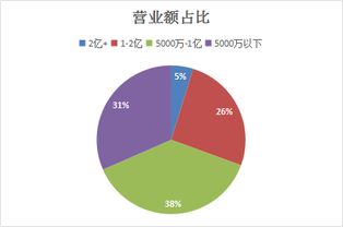 破局新径 上海软件开发带来的客户开拓新时代